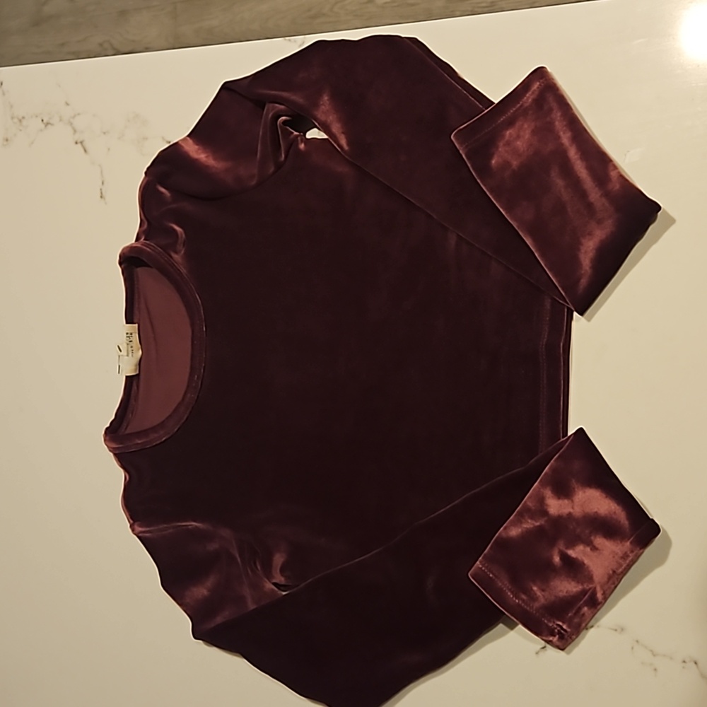 BNWT Aritzia Velvet top